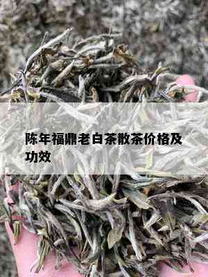 陈年福鼎老白茶散茶价格及功效