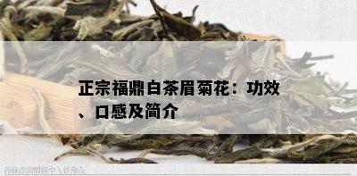 正宗福鼎白茶眉菊花：功效、口感及简介