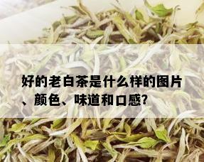 好的老白茶是什么样的图片、颜色、味道和口感？