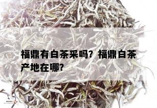 福鼎有白茶采吗？福鼎白茶产地在哪？