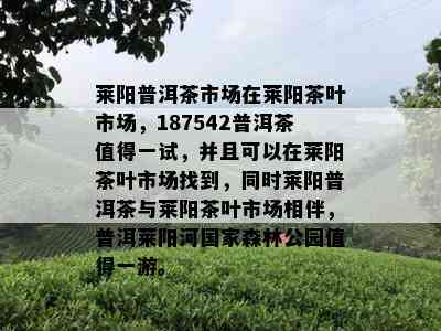 莱阳普洱茶市场在莱阳茶叶市场，187542普洱茶值得一试，并且可以在莱阳茶叶市场找到，同时莱阳普洱茶与莱阳茶叶市场相伴，普洱莱阳河国家森林公园值得一游。