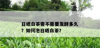 日晒白茶需不需要发酵多久？如何泡日晒白茶？