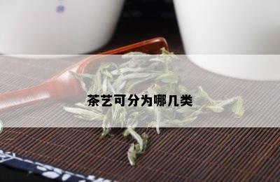 茶艺可分为哪几类