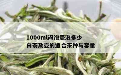 1000ml闷泡壶泡多少白茶及壶的适合茶种与容量