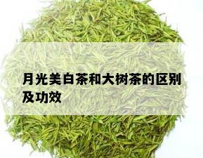 月光美白茶和大树茶的区别及功效