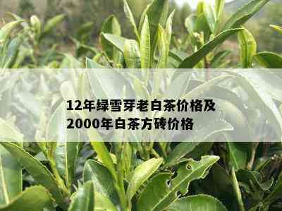 12年绿雪芽老白茶价格及2000年白茶方砖价格