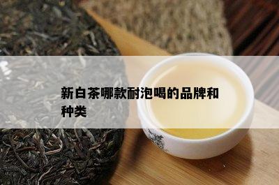 新白茶哪款耐泡喝的品牌和种类