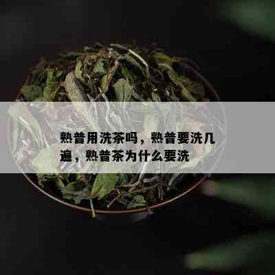 熟普用洗茶吗，熟普要洗几遍，熟普茶为什么要洗