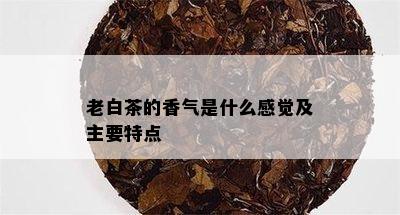 老白茶的香气是什么感觉及主要特点