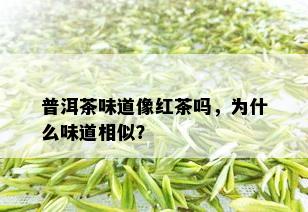 普洱茶味道像红茶吗，为什么味道相似？