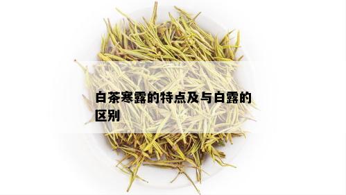 白茶寒露的特点及与白露的区别