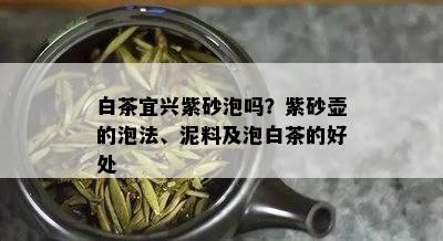 白茶宜兴紫砂泡吗？紫砂壶的泡法、泥料及泡白茶的好处