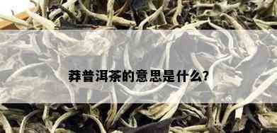 莽普洱茶的意思是什么？