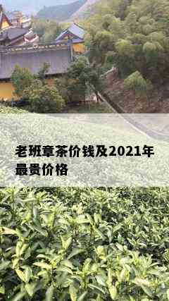 老班章茶价钱及2021年最贵价格