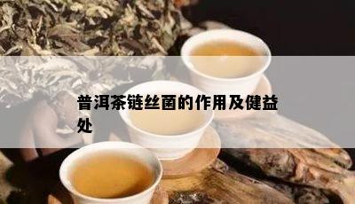 普洱茶链丝菌的作用及健益处