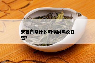 安吉白茶什么时候摘喝及口感？