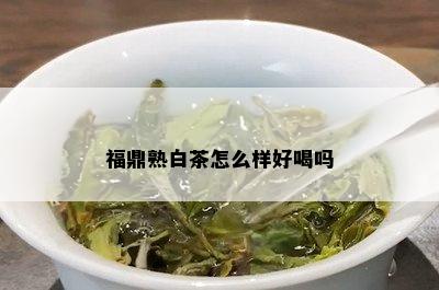 福鼎熟白茶怎么样好喝吗