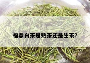 福鼎白茶是熟茶还是生茶？