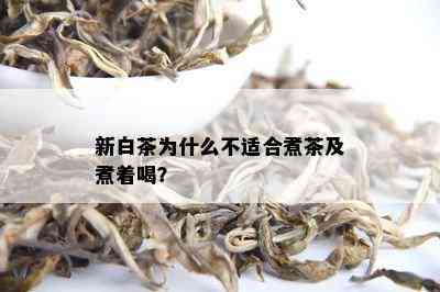 新白茶为什么不适合煮茶及煮着喝？