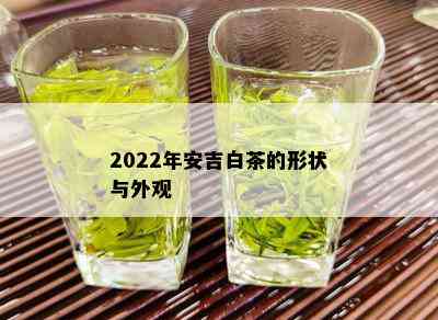 2022年安吉白茶的形状与外观