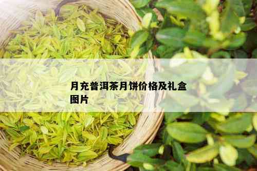 月充普洱茶月饼价格及礼盒图片