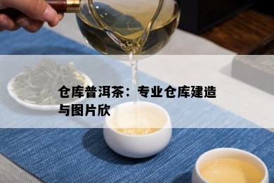 仓库普洱茶：专业仓库建造与图片欣