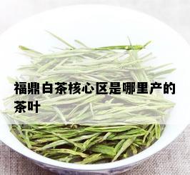 福鼎白茶核心区是哪里产的茶叶