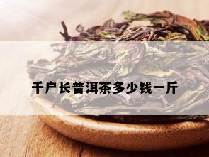 千户长普洱茶多少钱一斤