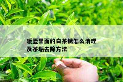 暖壶里面的白茶锈怎么清理及茶垢去除方法