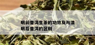 明前普洱生茶的功效及与清明后普洱的区别