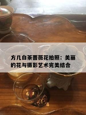 方几白茶蔷薇花拍照：美丽的花与摄影艺术完美结合