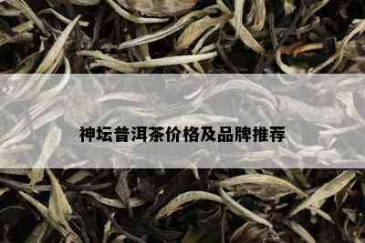 神坛普洱茶价格及品牌推荐