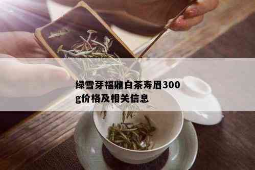 绿雪芽福鼎白茶寿眉300g价格及相关信息