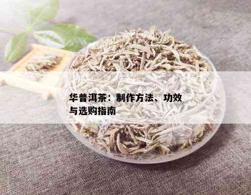 华普洱茶：制作方法、功效与选购指南