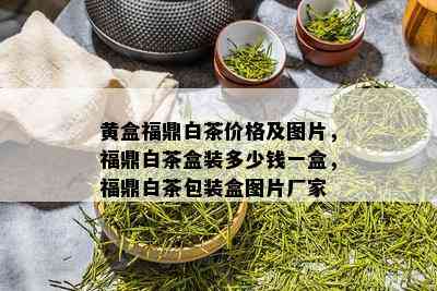 黄盒福鼎白茶价格及图片，福鼎白茶盒装多少钱一盒，福鼎白茶包装盒图片厂家