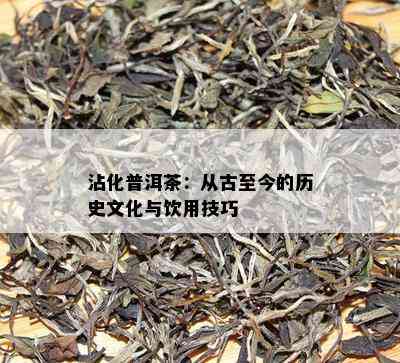 沾化普洱茶：从古至今的历史文化与饮用技巧