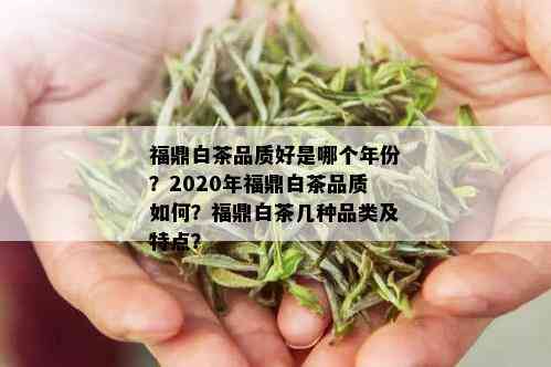 福鼎白茶品质好是哪个年份？2020年福鼎白茶品质如何？福鼎白茶几种品类及特点？