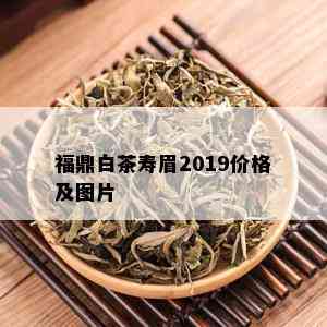 福鼎白茶寿眉2019价格及图片