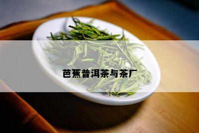 芭蕉普洱茶与茶厂