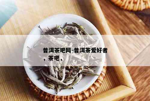 普洱茶吧网-普洱茶爱好者，茶吧，