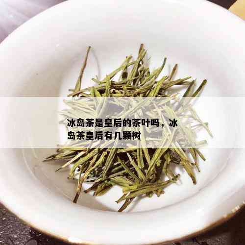 冰岛茶是皇后的茶叶吗，冰岛茶皇后有几颗树