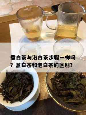 煮白茶与泡白茶步骤一样吗？煮白茶和泡白茶的区别？