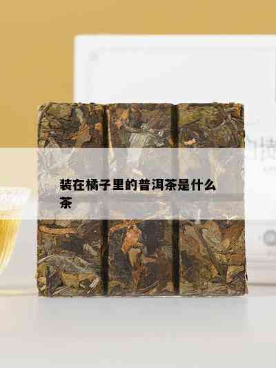 装在橘子里的普洱茶是什么茶