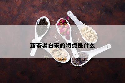 新茶老白茶的特点是什么