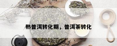 熟普洱转化期，普洱茶转化