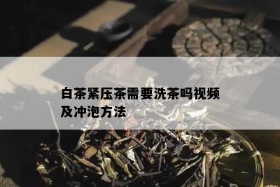 白茶紧压茶需要洗茶吗视频及冲泡方法