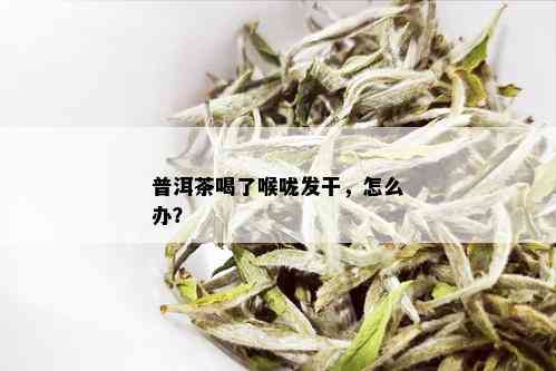 普洱茶喝了喉咙发干，怎么办？