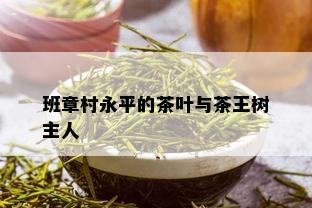 班章村永平的茶叶与茶王树主人