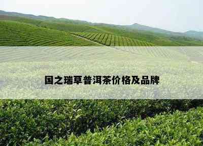 国之瑞草普洱茶价格及品牌