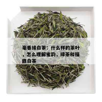 毫香缘白茶：什么样的茶叶，怎么理解蜜韵，绿茶和福鼎白茶